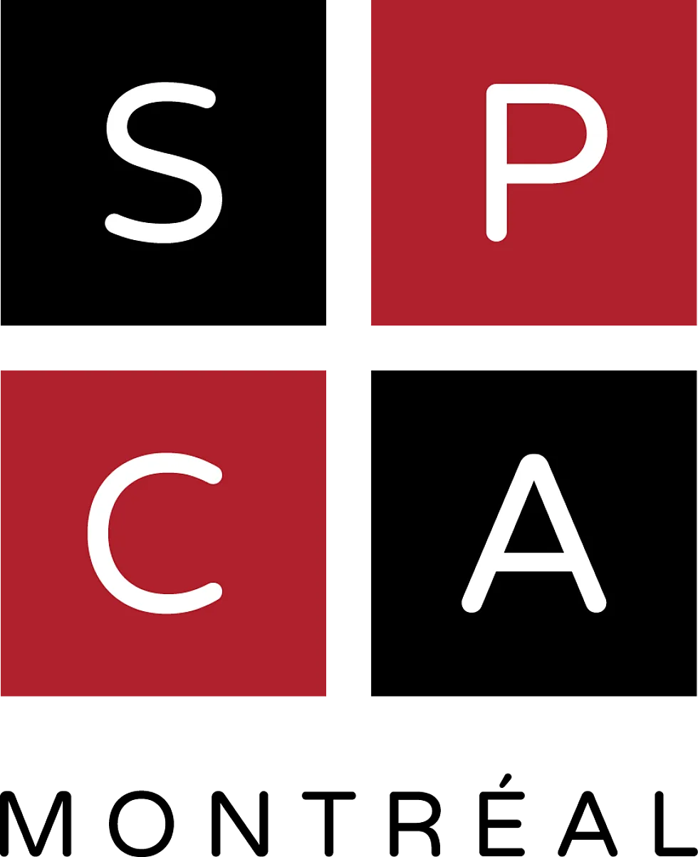 SPCA MONTREAL